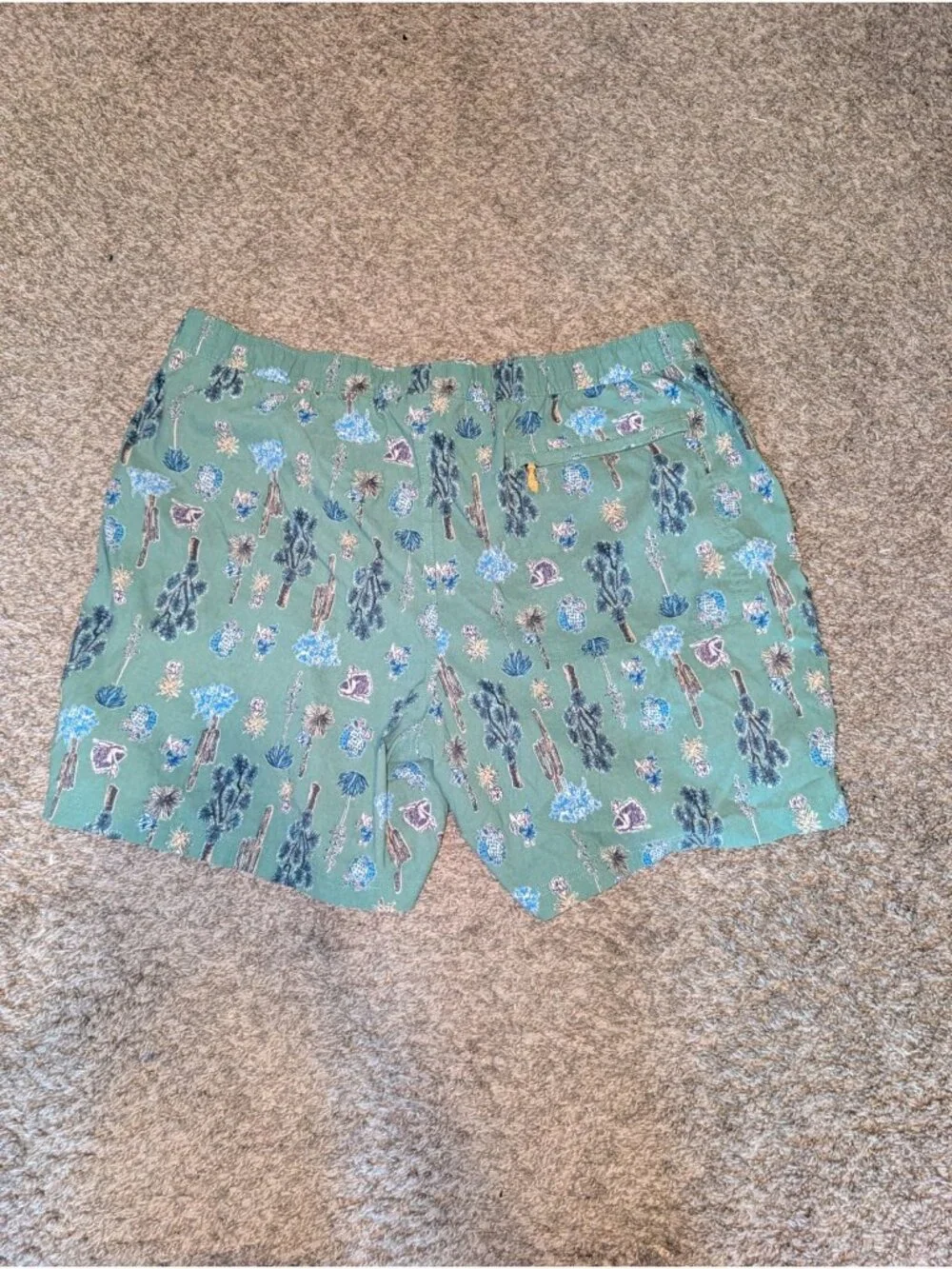 The North Face Pants Men's XXL Green Shorts Desert Print Preppy Beach Nylon